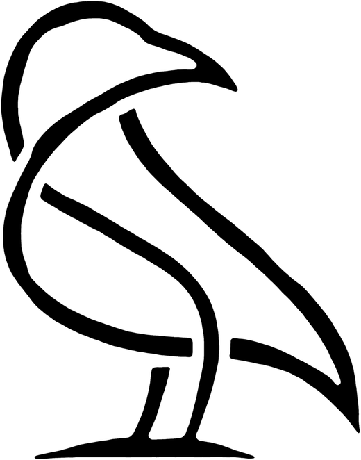 The Raven Architects logo